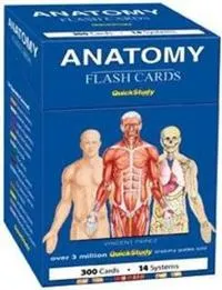 Anatomy Flash Cards; Vincent Perez; 2008