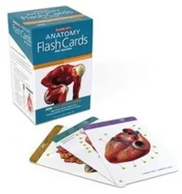 Anatomy Flash Cards; Ken Ashwell; 2016