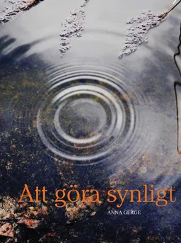 Att göra synligt; Anna Gerge; 2010