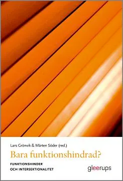 Bara funktionshindrad? : Funktionshinder och intersektionalitet; Lars Grönvik, Mårten Söder; 2008