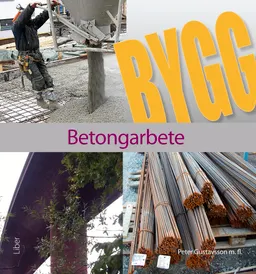 Betongarbete; Sune Sundström, Tommy Svensson, Jan Jonsson; 2011