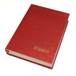 Bibeln konstskinn normal; nya inlagan Bibel 2000; 2022