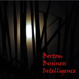 Bortom business intelligence; Kjell Borking, Mats Danielson, Love Ekenberg, Jim Idefeldt, Aron Larsson; 2010