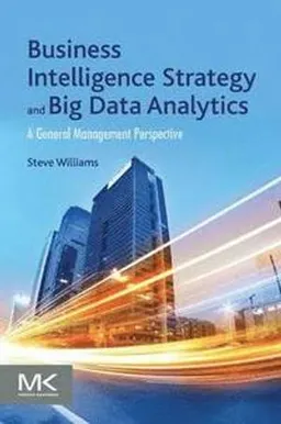 Business intelligence strategy and big data analytics : a general management perspective; Steve Williams; 2016