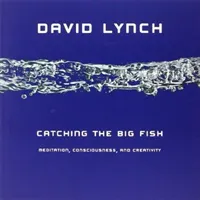 Catching the Big Fish; Meditation, consciousness, and creativity; David Lynch; 2008