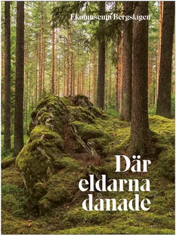 Där eldarna dånade; Bisse Falk; 2020