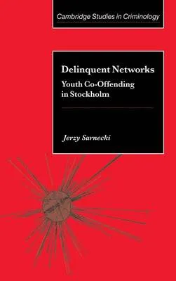 Delinquent networks : youth co-offending in Stockholm; Jerzy Sarnecki; 2001