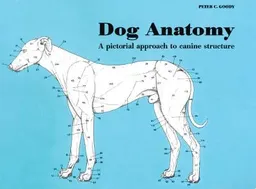 Dog Anatomy; Peter Goody; 1999