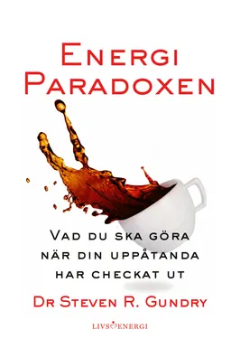 Energiparadoxen; Steven R. Gundry; 2022