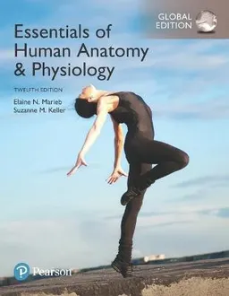 Essentials of Human AnatomyPhysiology, Global Edition; Elaine Marieb, Suzanne Keller; 2017