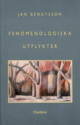 Fenomenologiska utflykter; Jan Bengtsson; 1998