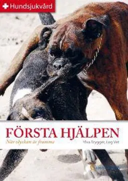 FÖRSTA HJÄLPEN; Ylva Trygger; 2010