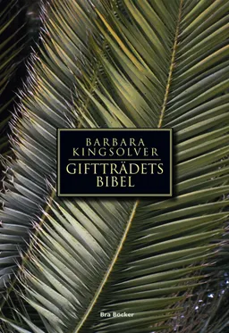 Giftträdets bibel; Barbara Kingsolver; 2001