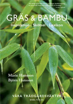 Gräs & bambu : inspiration - skötsel - lexikon; Marie Hansson, Björn Hansson; 2021