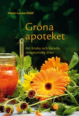 Gröna apoteket : att bruka och bereda terapeutiska örter; Marie-Louise Eklöf; 2012