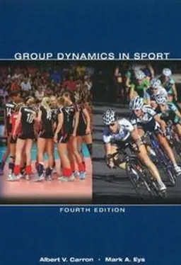 Group Dynamics In Sport; Albert V Carron, Mark A Eys; 2012