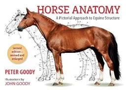 Horse anatomy : a pictorial approach to equine structure;  Peter Goody; 2001