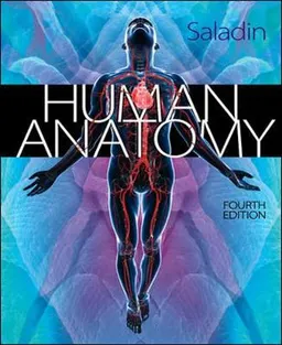 Human Anatomy; Kenneth Saladin; 2013