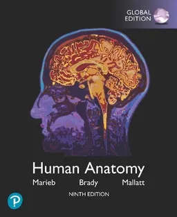 Human Anatomy, Global Edition; Elaine N Marieb; 2019