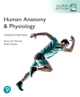 Human Anatomy & Physiology, Global Edition, (HB); Elaine N Marieb; 2022