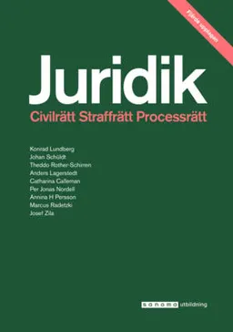 Juridik - civilrätt, straffrätt, process; Konrad Lundberg, Johan Schüldt, Theddo Rother-Schirren, Anders Lagerstedt, Catharina Calleman, Per Jonas Nordell, Annina Persson H, Marcus Radetzki, Josef Zila; 2017