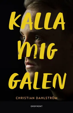 Kalla mig galen : berättelser från Psyksverige; Christian Dahlström; 2017