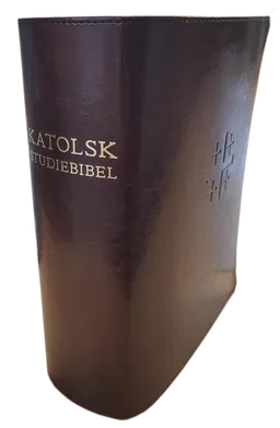 Katolsk studiebibel : Bibel 2000 med katolska kommentarer; Tord Fornberg, Emanuel Sennerstrand, Anna Minara Ciardi, Gösta Hallonsten, Anders Arborelius; 2022