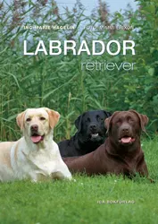 Labrador retriever; Ing-Marie Hagelin, Mimmi Erixon; 2003