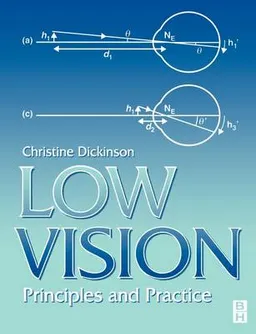 Low Vision; Christine Dickinson; 1998