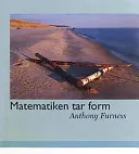 Matematiken tar form; Furness; 2004