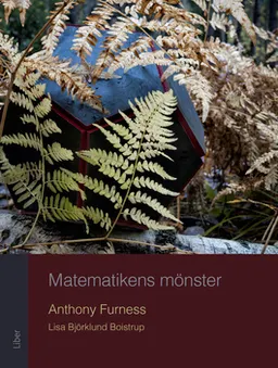 Matematikens mönster; Anthony Furness, Lisa Björklund Boistrop; 2015