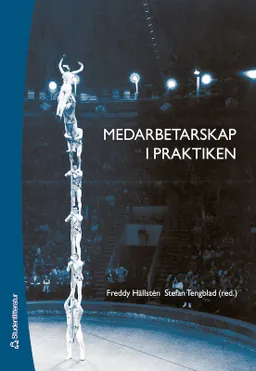 Medarbetarskap i praktiken; Freddy Hällstén, Stefan Tengblad; 2006