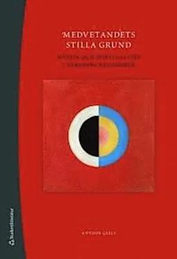 Medvetandets stilla grund : mystik och spiritualitet i världens religioner; Antoon Geels; 2008