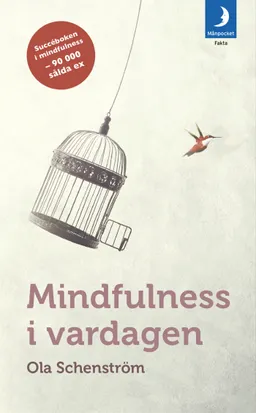 Mindfulness i vardagen : Vägar till medveten närvaro; Ola Schenström; 2018