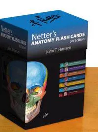 Netter's Anatomy Flash Cards; Hansen John T.; 2010