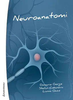 Neuroanatomi : ett kompendium; Romario Jalal Gorgis, Stefan Cobanovic, Lianna Qazo; 2020