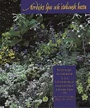 Nordiskt ljus och italiensk hetta: sommarblommor à la Göteborgs botaniska trädgård; Rigmor Celander, Mona Holmberg; 1996