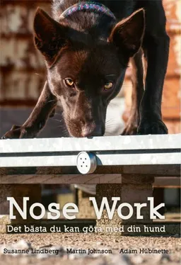 Nose Work-Det bästa du kan göra med din hund; Susanne Lindberg, Martin Johnson, Adam Hübinette; 2016