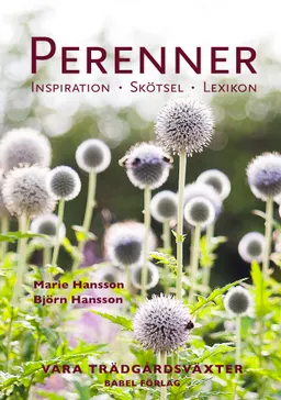 Perenner : Inspiration - Skötsel - Lexikon; Marie Hansson, Björn Hansson; 2022