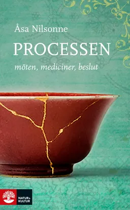 Processen : möten, mediciner, beslut; Åsa Nilsonne; 2017