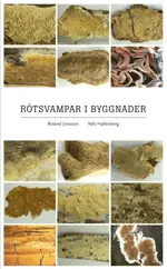 Rötsvampar i byggnader; Roland Jonsson, Nils Hallenberg; 2013