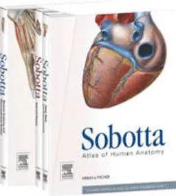 Sobotta Atlas of Human Anatomy English/Latin ; Friedrich Paulsen; 2011