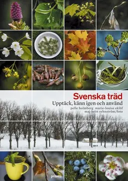 Svenska träd : upptäck, känn igen och använd; Pelle Holmberg, Marie-Louise Eklöf; 2007