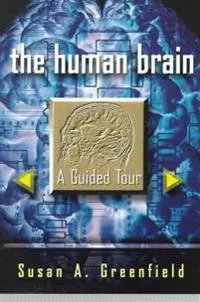 The Human Brain; Susan Greenfield; 1998