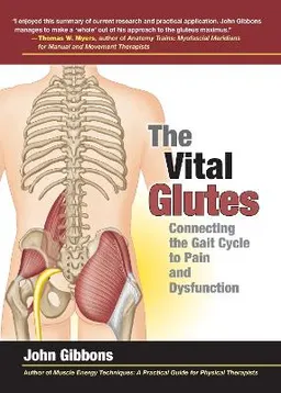 The Vital Glutes: Connecting the Gait Cycle to Pain and Dysfunction; John Gibbons; 2014