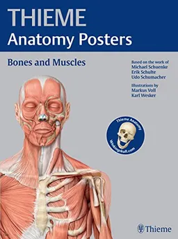 Thieme Anatomy Posters Bones and Muscles; Michael Schuenke, Erik Schulte, Udo Schumacher; 2014