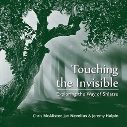 Touching the Invisible; Chris Mcalister, Jeremy Halpin, Jan Nevelius; 2021