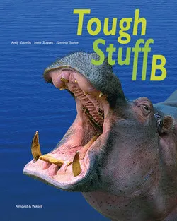 Tough Stuff B; Andy Coombs, Irene Skrytek, Kenneth Stahre; 2006