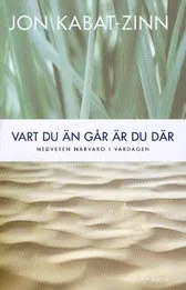 Vart du än går är du där : medveten närvaro i vardagen; Jon Kabat-Zinn; 2005