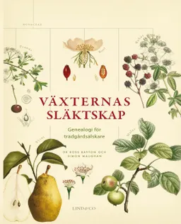 Växternas släktskap : genealogi för trädgårdsälskare; Ross Bayton, Simon Maughan; 2018